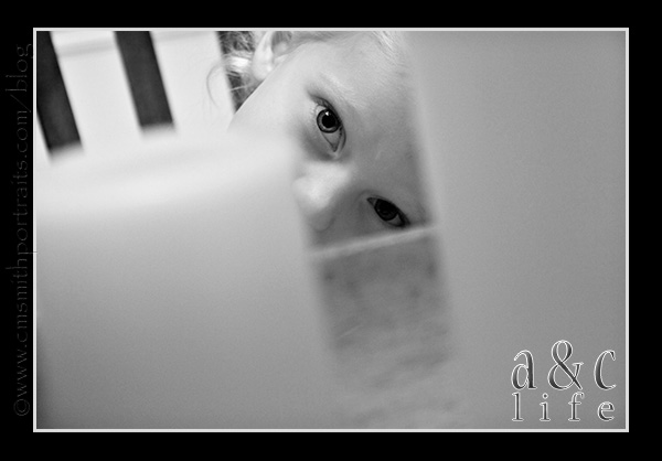 jessetree1-040 jessetree1-040